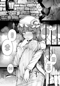 Ana to Muttsuri Dosukebe Daitoshokan 3 / 穴とむっつりどすけべだいとしょかん 3 [Flanvia] [Touhou Project] Thumbnail Page 03