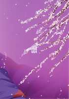 Naa Naa Danna-han Eroi Koto o Yarahenno / なぁなぁ旦那はん エロい事をやらへんの [Mao Fabao] [Fate] Thumbnail Page 28