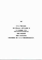 The Gate Guard's Duty! [Toudori] [Touhou Project] Thumbnail Page 32