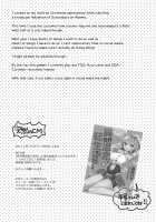 Shall I make Rem-nyan go Nyan Nyan? / レムにゃんとにゃんにゃんする? [Mori Airi] [Re:Zero - Starting Life in Another World] Thumbnail Page 20