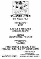 Songbird Hybrid / ヨブコドリハイブリッド [Yude Pea] [Touhou Project] Thumbnail Page 27
