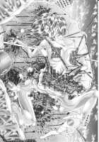 Random Nude Vol. 5.92 {Stellar Loussier} [Kakinomoto Utamaro] [Gundam Seed Destiny] Thumbnail Page 71