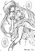 YDM Ver.E / YDM Ver.E [Kamogawa Tanuki] [Mahou Shoujo Lyrical Nanoha] Thumbnail Page 19