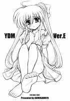 YDM Ver.E / YDM Ver.E [Kamogawa Tanuki] [Mahou Shoujo Lyrical Nanoha] Thumbnail Page 01