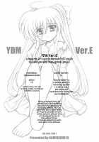 YDM Ver.E / YDM Ver.E [Kamogawa Tanuki] [Mahou Shoujo Lyrical Nanoha] Thumbnail Page 22