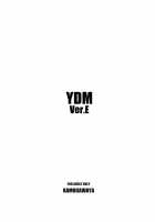 YDM Ver.E / YDM Ver.E [Kamogawa Tanuki] [Mahou Shoujo Lyrical Nanoha] Thumbnail Page 23