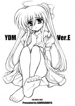 YDM Ver.E / YDM Ver.E [Kamogawa Tanuki] [Mahou Shoujo Lyrical Nanoha]