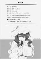 Inter Mammary 3 [Oohira Sunset] [Touhou Project] Thumbnail Page 13