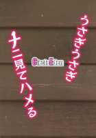 Usagi Usagi Nani Mite Hameru / うさぎうさぎナニ見てハメる [Diisuke] [Touhou Project] Thumbnail Page 34