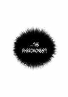 Pheromone-holic [Rozer] [Original] Thumbnail Page 831