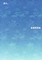 Toufuu Kabejiriroku / 東風壁尻録 [Hida] [Touhou Project] Thumbnail Page 29