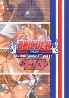 BRICOLA Soushuuhen / BRICOLA総集編 [Haikawa Hemlen] [Bleach] Thumbnail Page 100