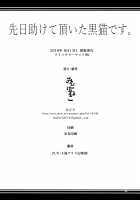 I'm the Black Cat You Helped Out the Other Day. / 先日助けて頂いた黒猫です。 [Midori] [Touhou Project] Thumbnail Page 19