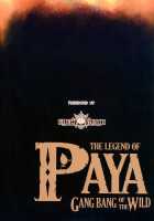 THE LEGEND OF PAYA GANG BANG OF THE WILD [Erect Sawaru] [The Legend Of Zelda] Thumbnail Page 26