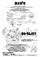 NTR ~Nitorare~ / NTR～にとラレ～ [Flanvia] [Touhou Project] Thumbnail Page 28
