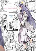 The Hole and the Closet Perverted Unmoving Great Library / 穴とむっつりどすけべだいとしょかん [Flanvia] [Touhou Project] Thumbnail Page 28