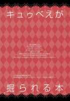 Kyubey Ga Horareru Hon / キュウべえが掘られる本 [Bushi] [Puella Magi Madoka Magica] Thumbnail Page 21