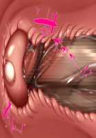 Hitozuma to Gattai! Nukenai! ~Netori Fukahi no Gattai Seikatsu~ Ch.1 [Kawahagitei] [Original] Thumbnail Page 233