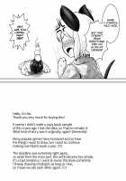 Fucking with Portals / スキマハメ [Aki] [Touhou Project] Thumbnail Page 21
