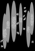 Brown Girl Natsuki-chan ~Summer Vacation in the Country Chapter~ / 褐色むすめ 夏季ちゃん～田舎の夏休み編～ [Amazon] [Original] Thumbnail Page 217