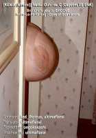 Nettai Ouhi vs. C / 熱帯王妃VS.C [Ninnin] [King Of Fighters] Thumbnail Page 29