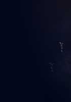 Serena no Ryona Trap Dungeon‼ / セレナのりょなトラップダンジョン‼ [Meito] [Original] Thumbnail Page 49