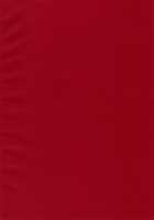 Akebi no Mi - Satomi AFTER / 山姫の実 智美 AFTER [Sanbun Kyoden] [Akebi No Mi] Thumbnail Page 35