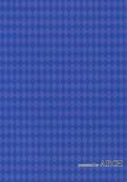 Shikibushiki Tsuyabanashi / 式部式艶ばなし [Plum] [Fate] Thumbnail Page 26