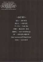 Misshitsu Kanbyou / 密室看病 [Yukiusagi.] [Touhou Project] Thumbnail Page 17