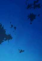 My Sister And Her Friend Are Too Erotic, My Crotch Is In Danger / 妹とその友人がエロすぎて俺の股間がヤバイ [Gaou] [Original] Thumbnail Page 178