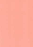 Cutie / かわいいひと [Air] [Fullmetal Alchemist] Thumbnail Page 25