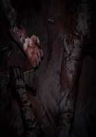 Maggot Baits / マゴット ベイツ [Hamashima Shigeo] [Original] Thumbnail Page 1263