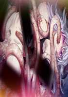 Maggot Baits / マゴット ベイツ [Hamashima Shigeo] [Original] Thumbnail Page 1611