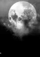 Eros&Agape / Eros&Agape [Ikujinashi No Fetishist] [Fate] Thumbnail Page 31