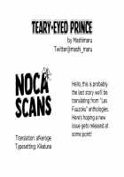 Teary-Eyed Prince / ナミダメ·プリンス [Mashimaru] [Original] Thumbnail Page 17