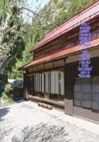 Manatsu no Inaka de Asedaku ni Natte Musaboriau Oyako / 真夏の田舎で汗だくになって貪りあう母子 [Original] Thumbnail Page 162