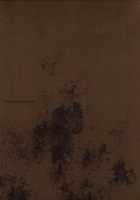 The crucifixion of Succura / サキュラの磔刑 [Endou Okito] [Bloodborne] Thumbnail Page 38