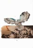 The crucifixion of Succura / サキュラの磔刑 [Endou Okito] [Bloodborne] Thumbnail Page 42