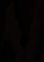 Lascivia ~Shoufuka Sennou~ / ラシビア ～娼婦化洗脳～ [Original] Thumbnail Page 378