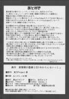 Hatsujouki no Ran-sama to EX Yukarin mo Issho / 発情期の藍様とEX ゆかりんもいっしょ [Akitsuki Karasu] [Touhou Project] Thumbnail Page 21