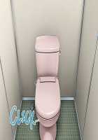 Hypnotized College Girls [Rebis] [Original] Thumbnail Page 256