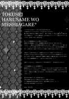 Tokusei Harusame wo Meshiagare / 特製春雨を召し上がれ [Konomi] [Kantai Collection] Thumbnail Page 17