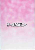 Gensoukyou no Gyaku Raper / 幻想郷の調停者 [Peso] [Touhou Project] Thumbnail Page 20