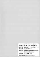 Gakkou ni Succubus ga Kita! / 学校にサキュバスが来た! [Kizuka Kazuki] [Original] Thumbnail Page 33