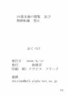 Giroutei "Ka" Kan / 妓楼亭『か』巻 [Shijima Yukio] [Bleach] Thumbnail Page 33