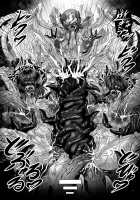 Dashoku Ibunroku # ~The ghost's slave sisters~ / 堕触異聞録# ～幻影隷属姉妹～ [Hozumi Touzi] [Fire Emblem] Thumbnail Page 24