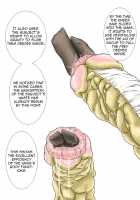 P045-02 Vanis Report / P045-02 ヴァニス・レポート [Yoikuma] [Original] Thumbnail Page 35