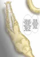 P045-02 Vanis Report / P045-02 ヴァニス・レポート [Yoikuma] [Original] Thumbnail Page 36