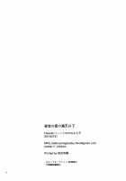 Yozora no Hoshi no Manten no Shita / 夜空の星の満天の下 [Bekkou Megane Buchiko] [Fate] Thumbnail Page 26