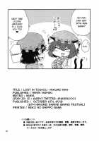 Lost in Touhou ~Yakumo Ran Edition~ / 東方迷込 ～八雲藍編～ [Hanya] [Touhou Project] Thumbnail Page 17